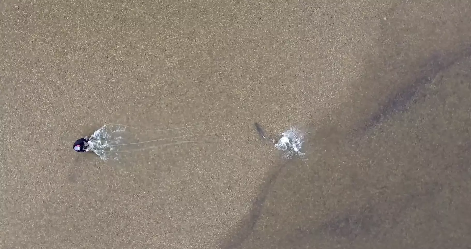 WATCH: Huge Taimen Hits Fly In Crystal Clear Water