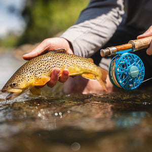person holding brown trout above water next to blue fly fishing reel