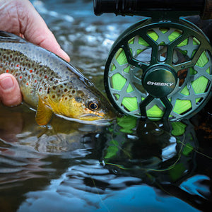 Angler holding a brown trout in shallow water next to a Drip fly fishing reel.
