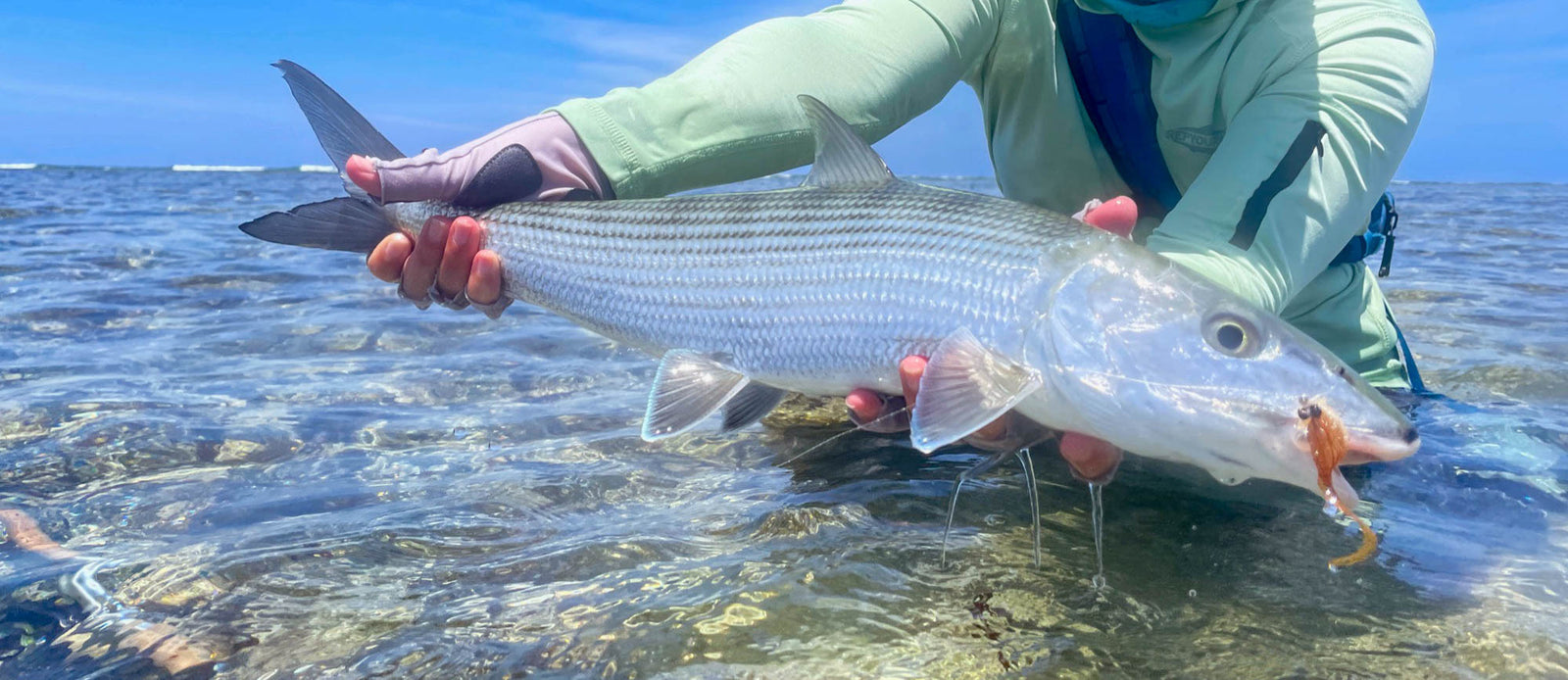 bone fishing pole VOYAGE-X DIY Bonefish - Pt 2