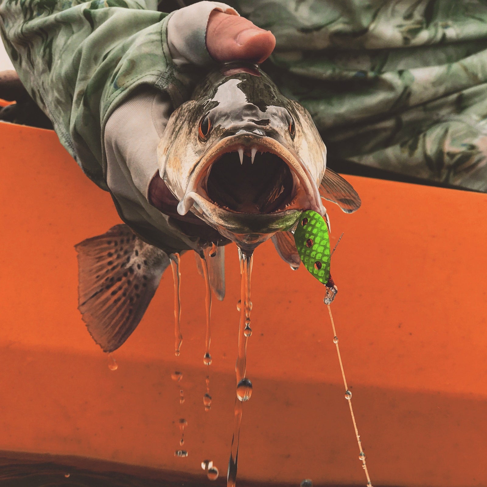 Fishing Photography Remixed