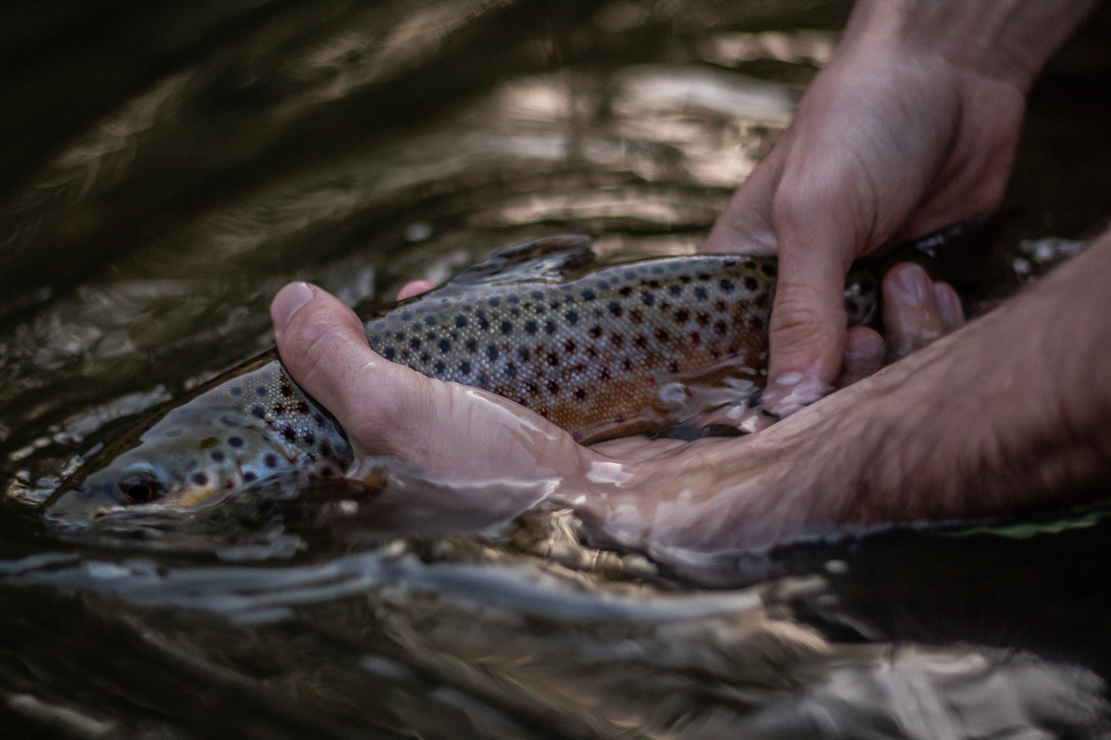 Stay Away from Hot Water in the Summer