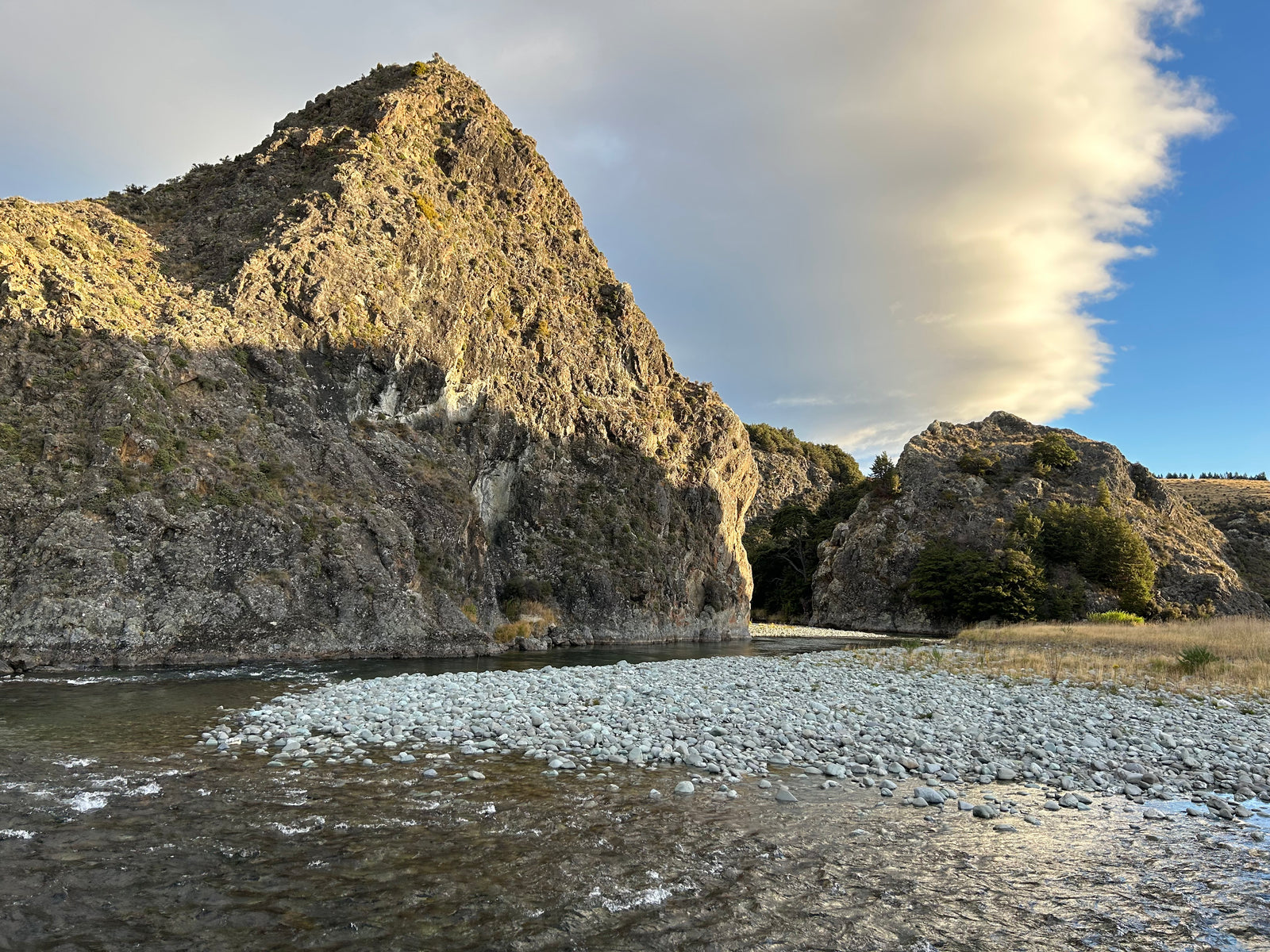 New Zealand Trout Fishing - Cheeky Fishing