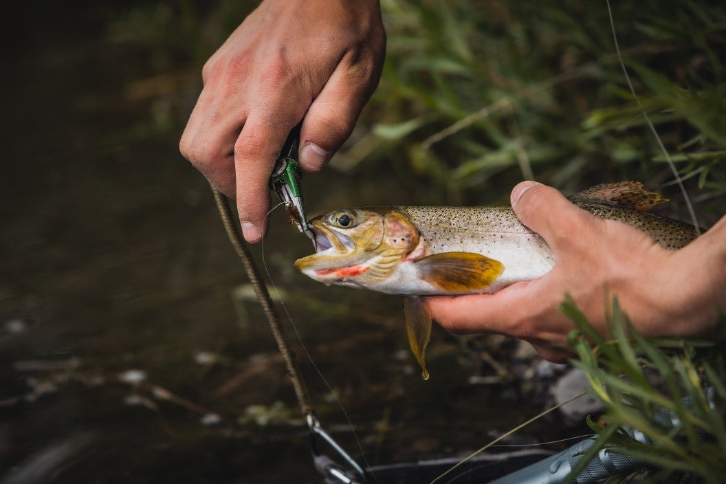 Fishing Plier Review – March 2015  The Caddis Fly: Oregon Fly Fishing Blog