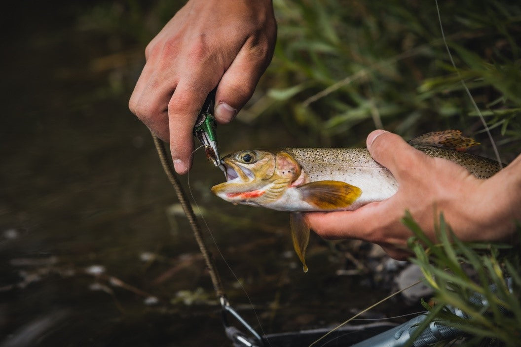 Fly Fishing Pliers: The Fishing Tool Every Angler Needs