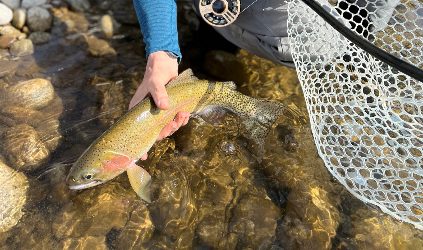 Cheeky's Favorite Spring Hatches