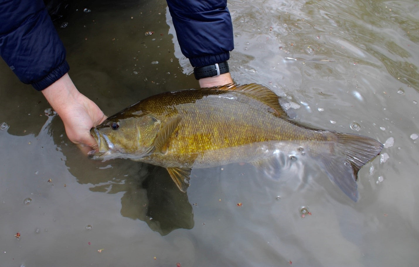 Fishing Your Local Waters