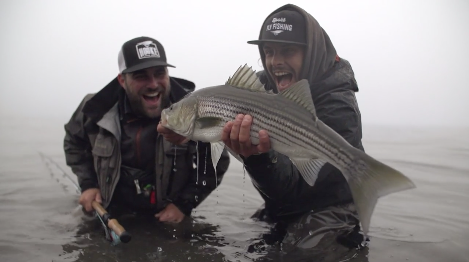 VIDEO: Bonaventure Striped Bass - Cheeky Fishing