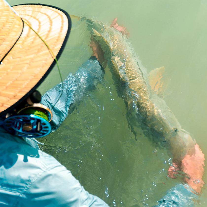 Sight-casting Snook: DIY at its Finest