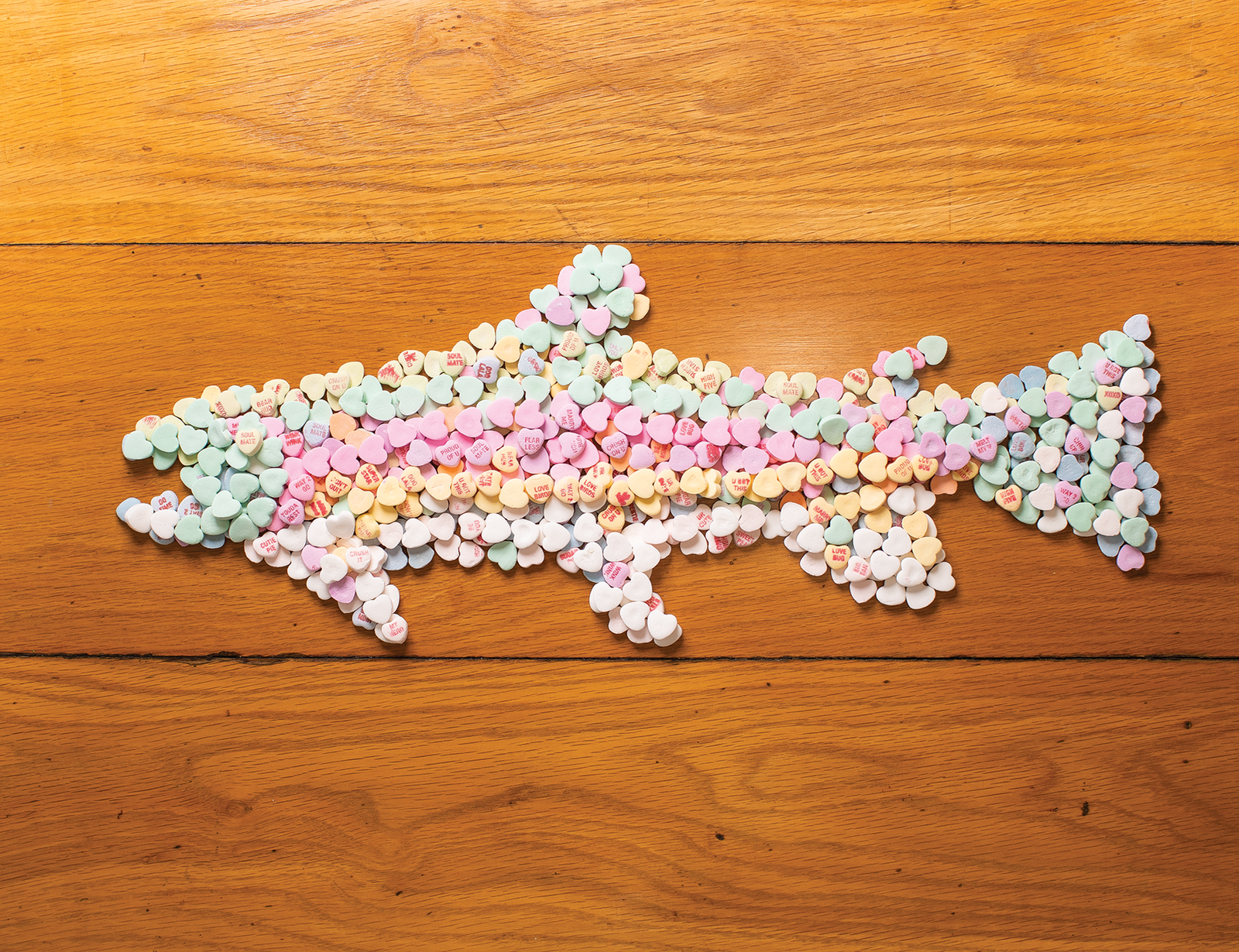 Love Letter Straight from the Heart of Trout Country