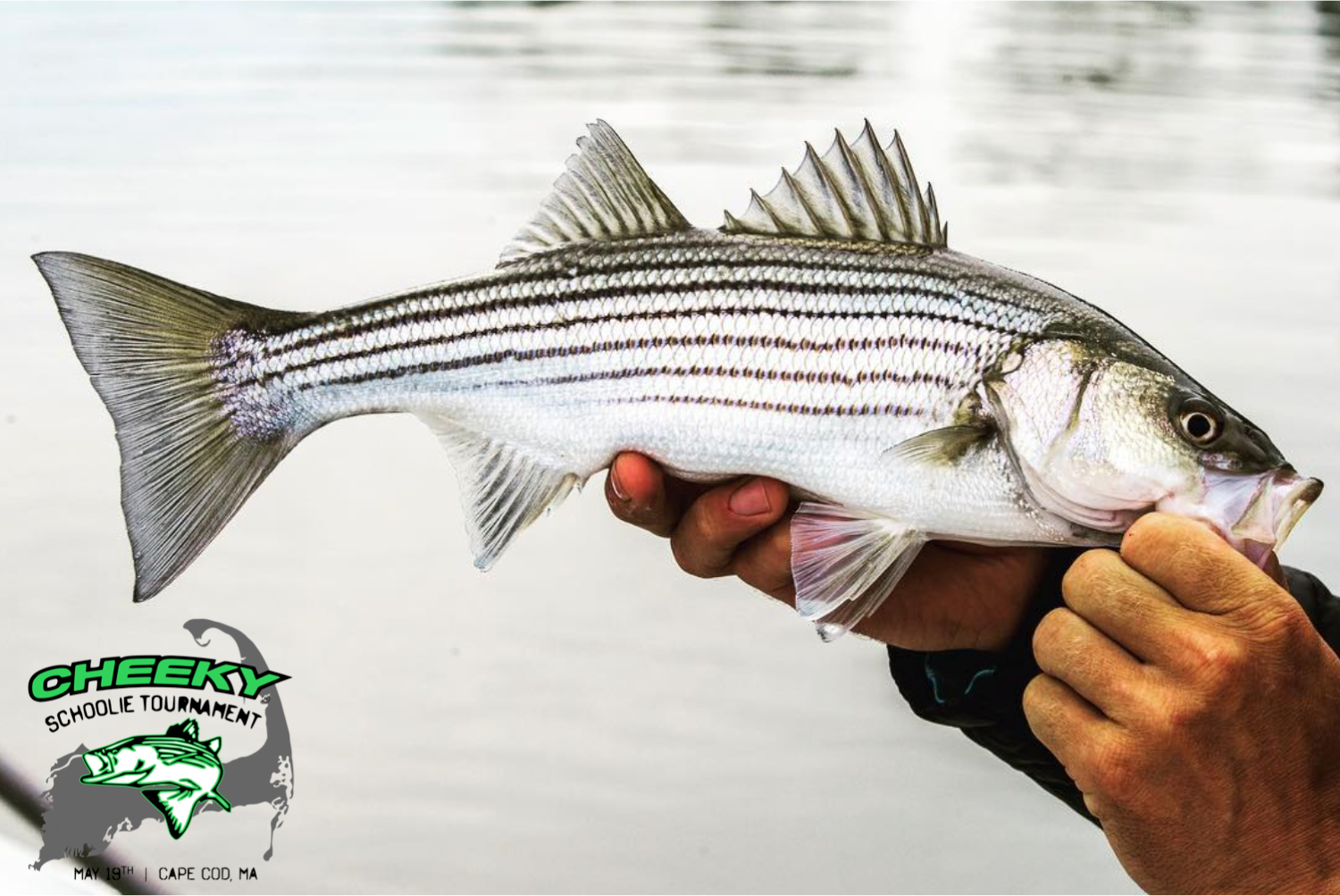 Cheeky Partners With AFFTA To Donate Up To $3,000 To Stripers Forever