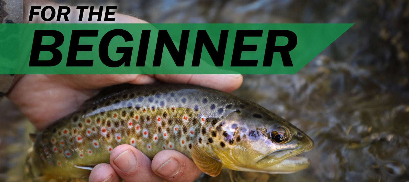 The Beginner Gift Guide