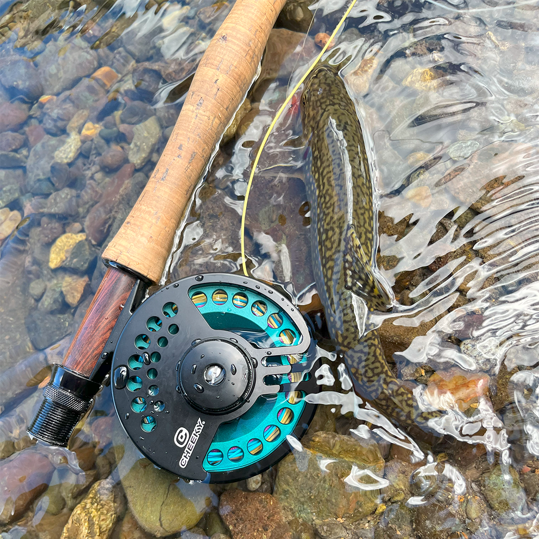 Sighter fly reel on rod with brook trout