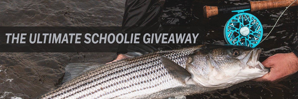 Image reads the ultimate schoolie giveaway with image of striper