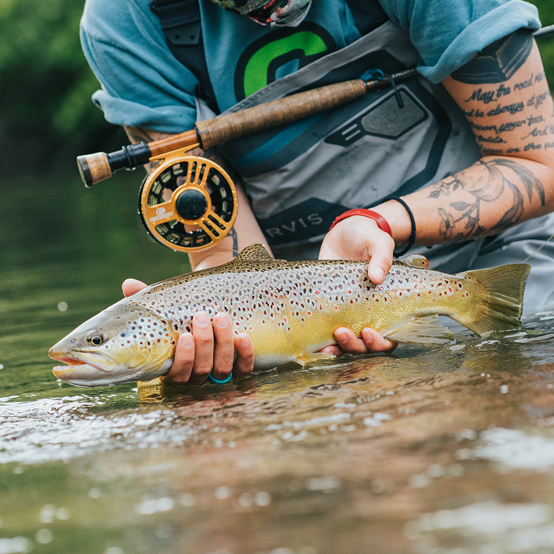 brown trout held above water with Cheeky Fly fishing launch fly reel