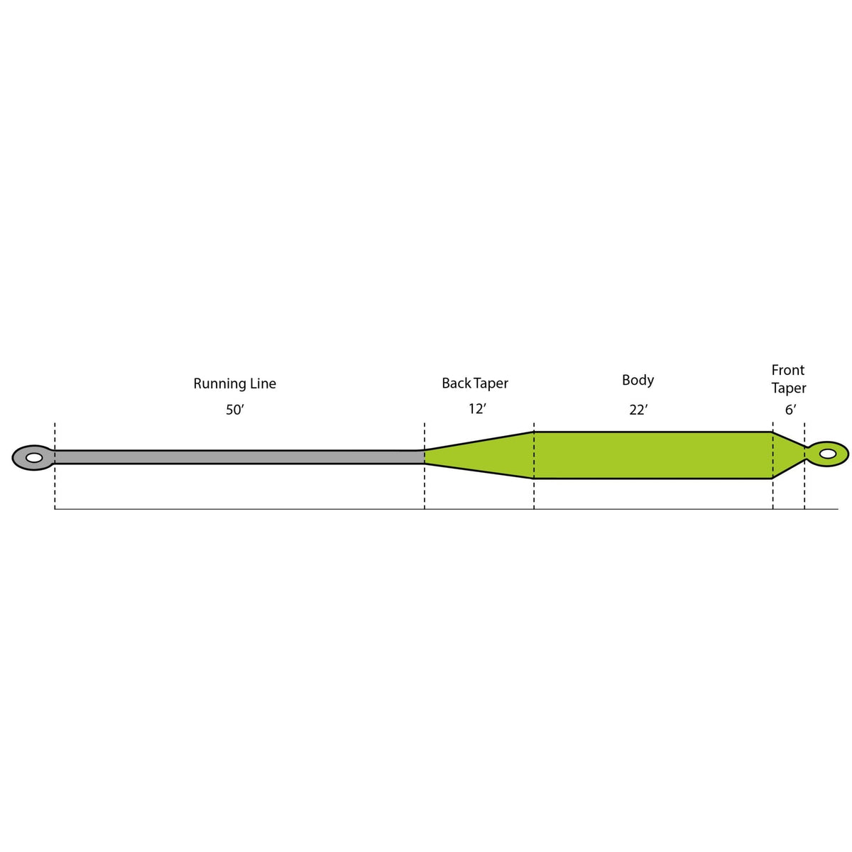 fly line diagram